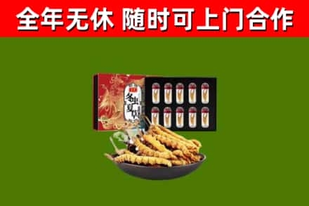 洛宁县回收冬虫夏草价格